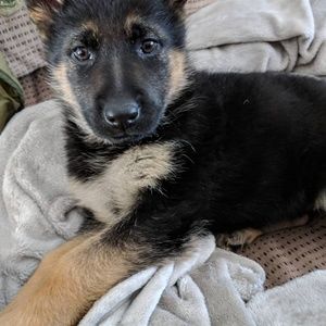 Meet your Posher, Nicole